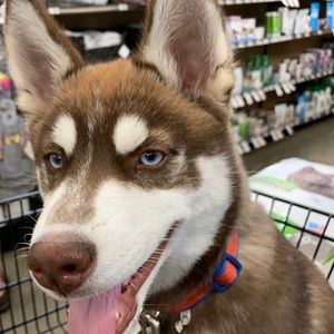 Meet your Posher, Juan manuel